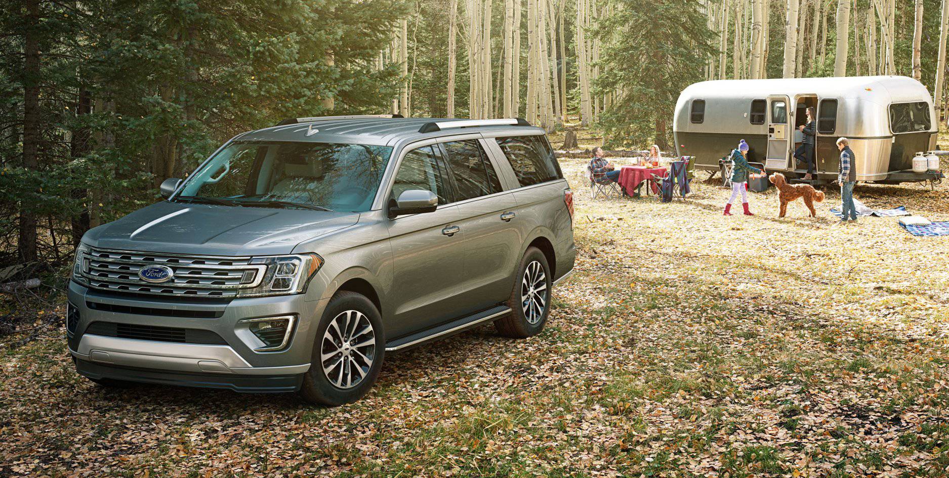 2018 Ford Expedition Platinum6