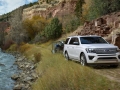 2018 Ford Expedition8